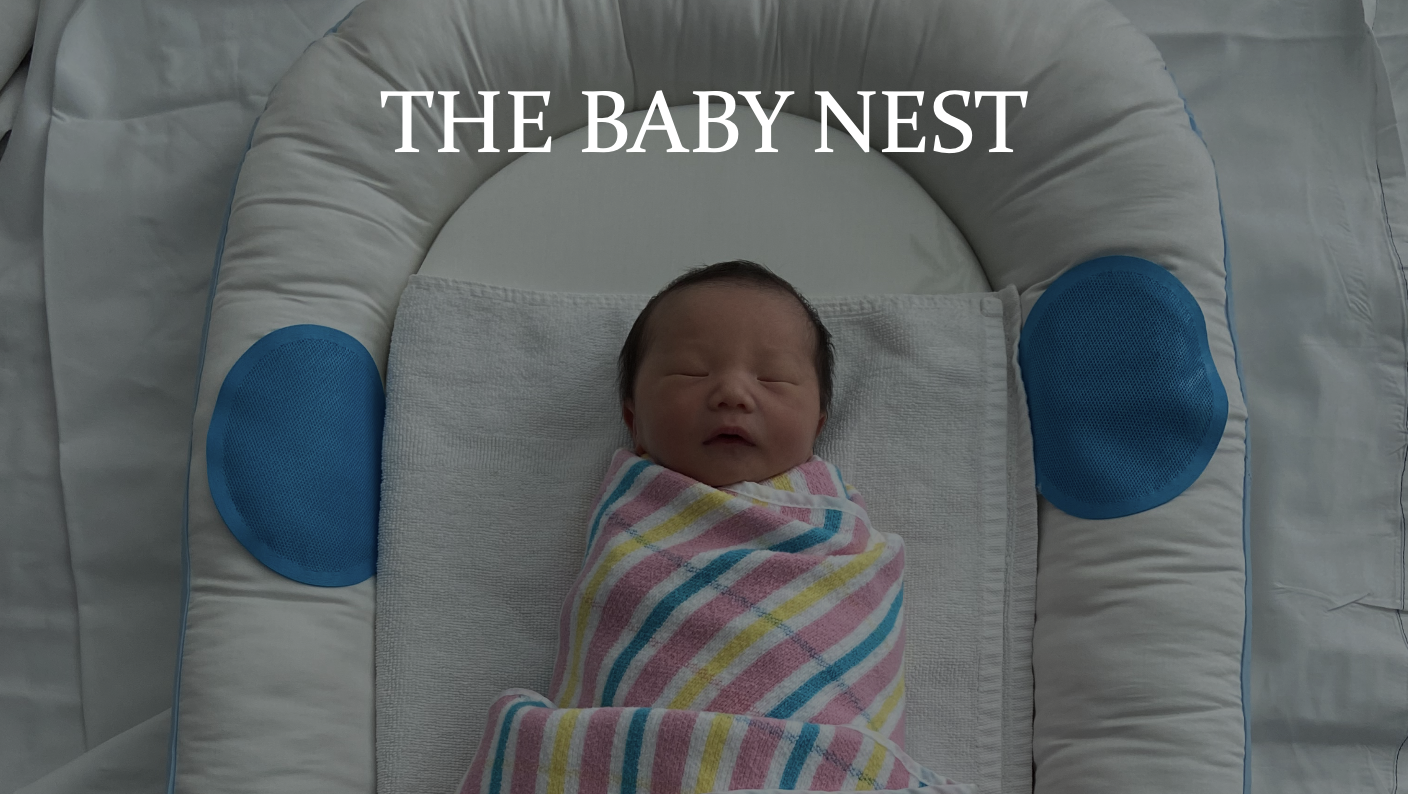 The Baby Nest James Dyson Award
