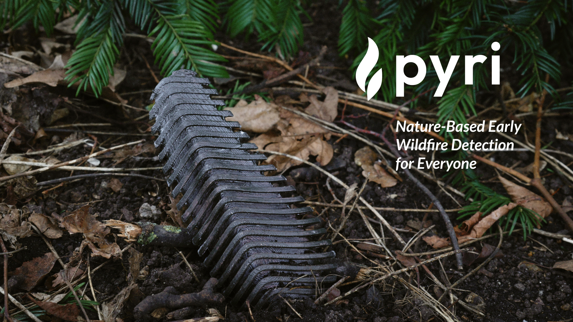 An image with a caption of: Nature-Based Early Wildfire Detection for Everyone